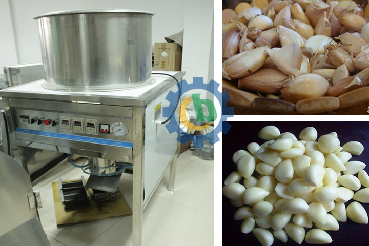 bgp-150-garlic-peeling-machine(1)