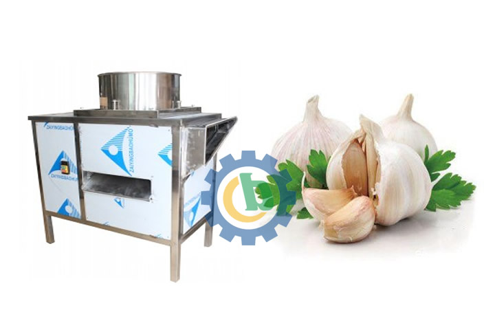 garlic-cloves-breaking-machine