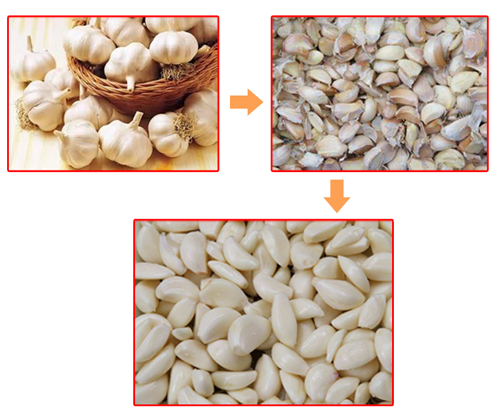 garlic-peeling-production-line