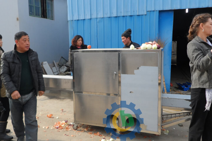 analog-hand-onion-peeling-machine-effect