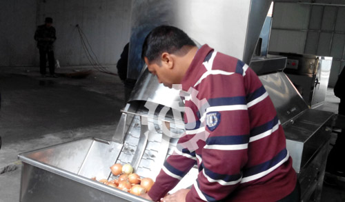 onion-peeling-machine