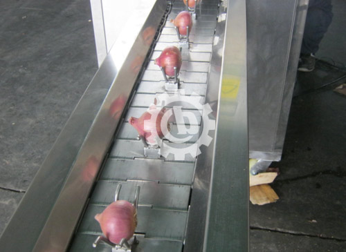 onion-peeling-device