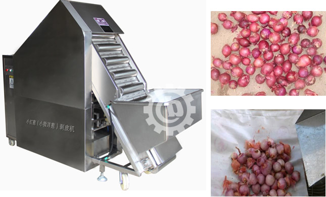 shallot-onion peeling-machine