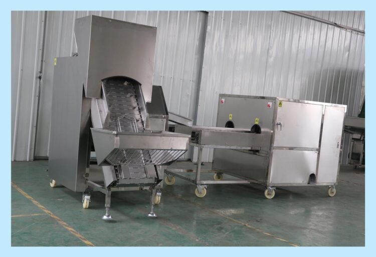 Onion Peeling and Cutting Machine