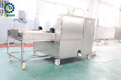 Onion Topping, tailling and peeling machine