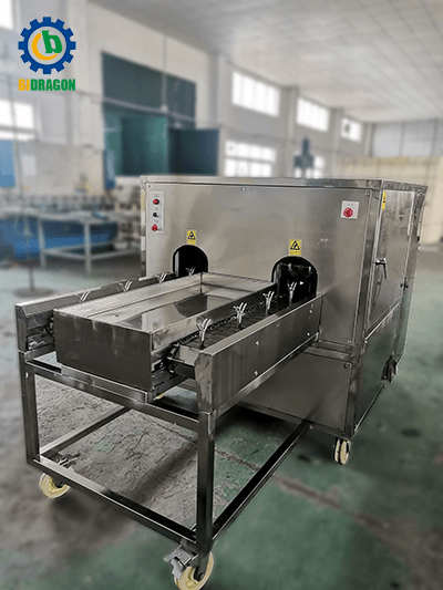 Cravo de alho que separa a máquina