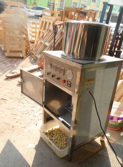 BGP-100 Small Garlic Peeling Machine