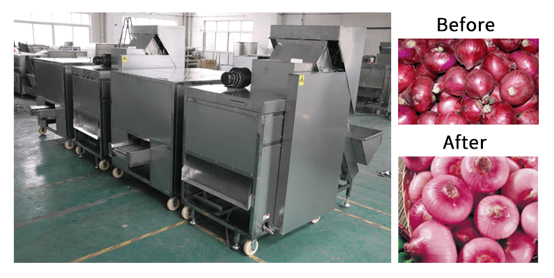 Onion peeling and root cutting machine