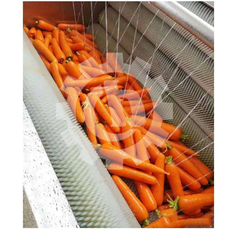 Carrot Washing Peeling Machine Industrial