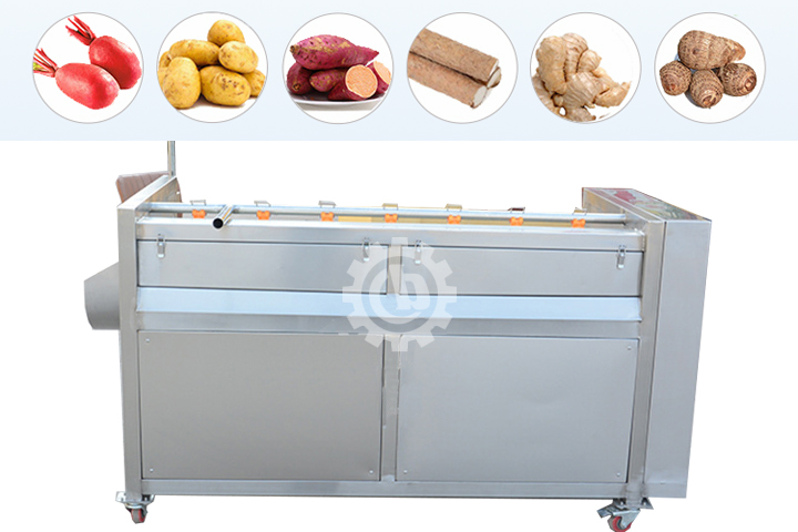 Vegetable Potato Carrot Washing and Peeling Machine