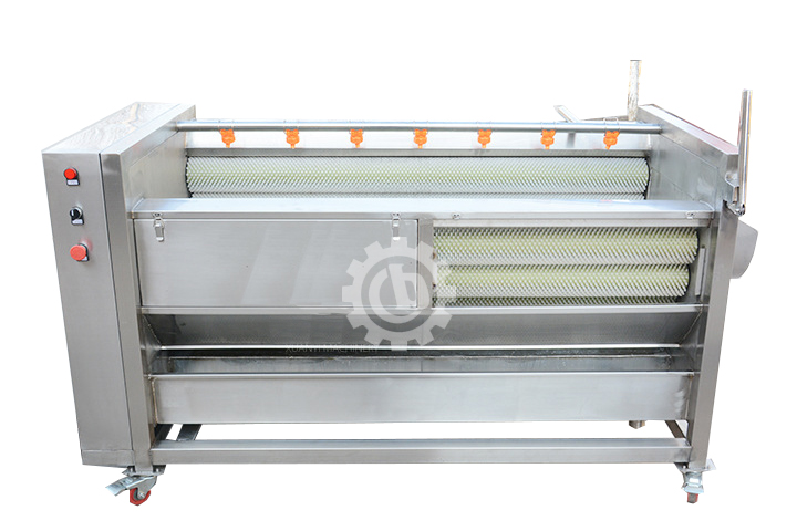 Vegetable Potato Carrot Washing and Peeling Machine