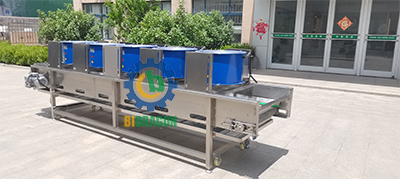 Stainless Steel Fruit and Vegetable Surface Cold Air Drying Machine