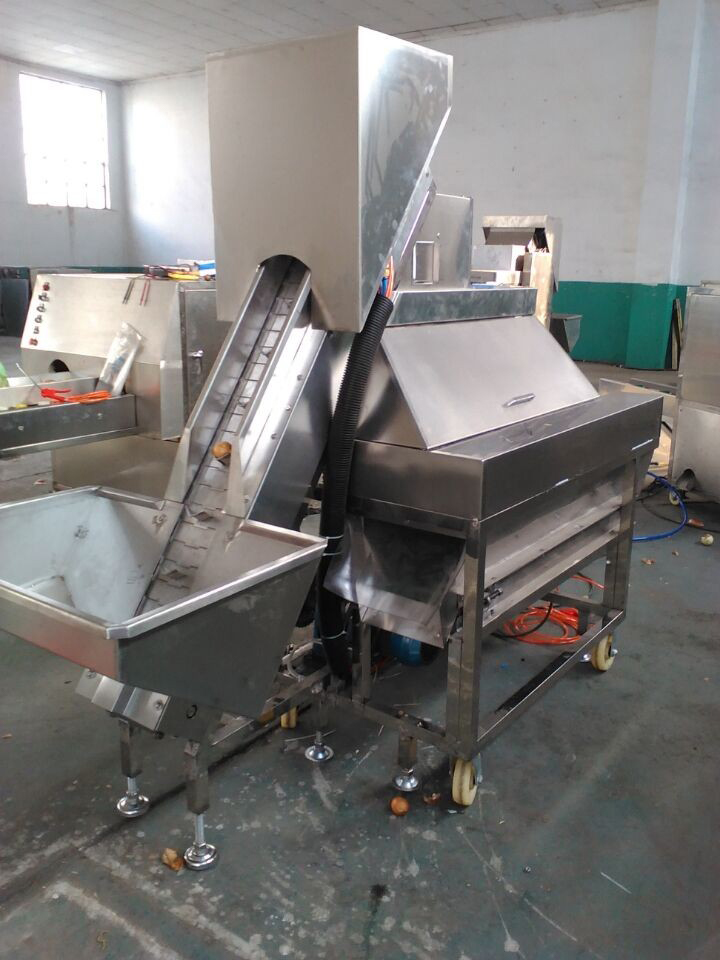 Onion Peeling Machine and Root Cutting Machine Onion Peeler Machine