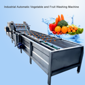 Cheapest Hydroxyl Fruit and Vegetable Washing Machine Vegetable Washing Machine Portable Vegetable Basket Washing Machine