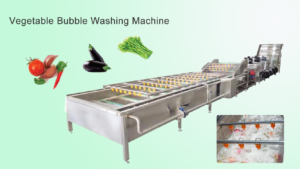 Industrial Air Power Bubble Fruit Washer Fruit Vegetables Washing Machine Price