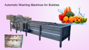 Food Vegetable Washer Cleaning Processing Equipment Lettuce Washing Machine for Lettuce Celery