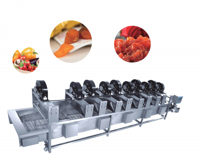 Automatic Vegetable Drying Machine and fruit dryer for herbs, food and pharmacy