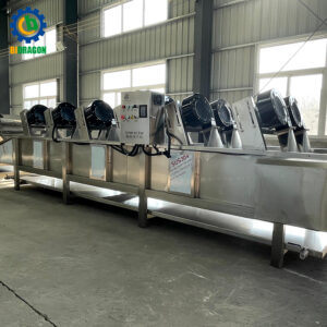 Stainless Steel Industrial Potato Chips Cold Air Drying Machine Vegetable Washing And Air Drying Machine-Dry