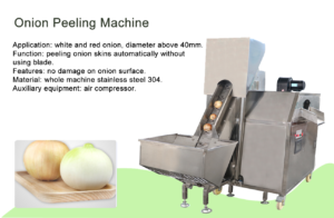 Hot Sale Onion Peeling and Root Cutting Machine