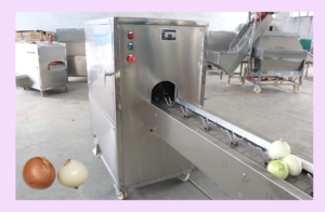 Commerical Automatic Onion Peeling Machine Root Cutting Machine