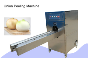 Automatic Onion Root Cutting Machine/High Quality Onion Root Cutter Machine