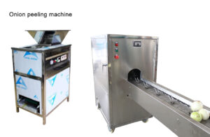 Onion Root Cutting and Peeling Machine