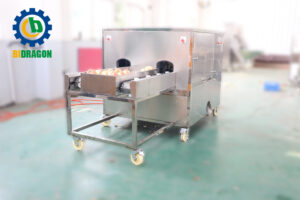 Onion Peeling Machine Small Onion Round Slice Cutting Machine Onion Ring Chips Machine