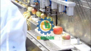 Electric Apple Peeling Coring Slicing Machine apple peeling and core cutting machine