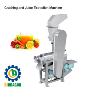 Automatic ginger juice extraction machine orange pineapple juice extractor pear apple crushing juicing machine