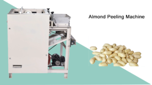 Almond and Walnut Sieving Shelling Peeling Line Almond Sorter Machine 400kg/h