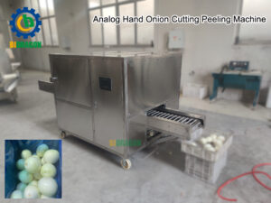 Onion Peeling Machine / Onion Peeler / Onion Skin Removing Machine