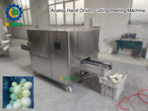 High Quality Industrial Onion Peeling Machine And Onion Root Cutting Machine