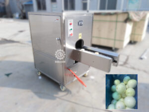 Onion tail and top cutting machine | Onion roots cutting machine | Onion cutting process machine