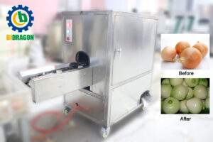 Concave root cutting machine Onion Processing Machine Onion Roots Cutting Machine