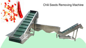Chilli Seeds Remover Machine|Pepper Seed Husk Separating Machine|Chilli Deep Processing Machine