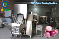 Onion Potato Peeler Machine Onion Peeler Machine Malaysia