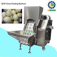 Automatic Onion Peeling Machine Onion Slices Processing Line