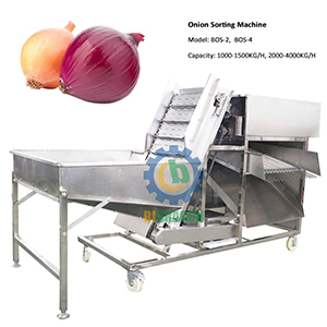 Factory Sells Garlic Grader Onion Sorting Machine