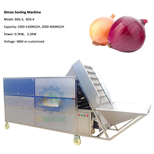 Commerical Passion Fruit Processing Avocado Onion Size Grading Sorting Machine