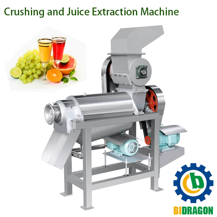 Competitive Price Fruit Vegetable Juice Press Ginger Juice Extraction Machine