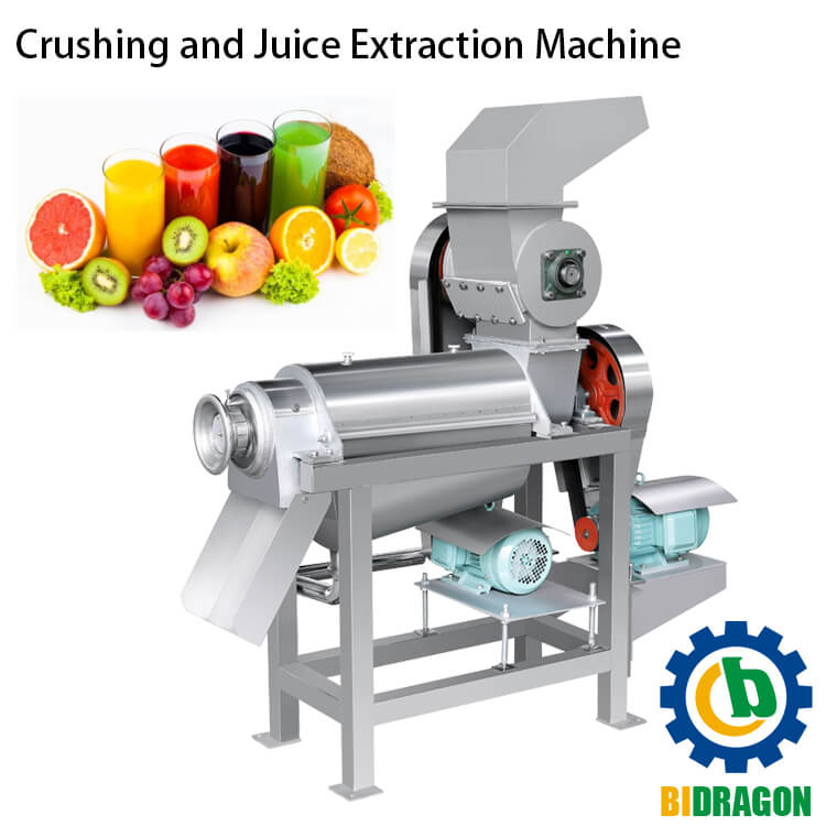 Stainless Steel Spiral Apple Orange Juicer Extractor, Commercial Fruit Juice Making Machine for Sugar Cane, Garlic, Ginger, Kiwi, Tomato