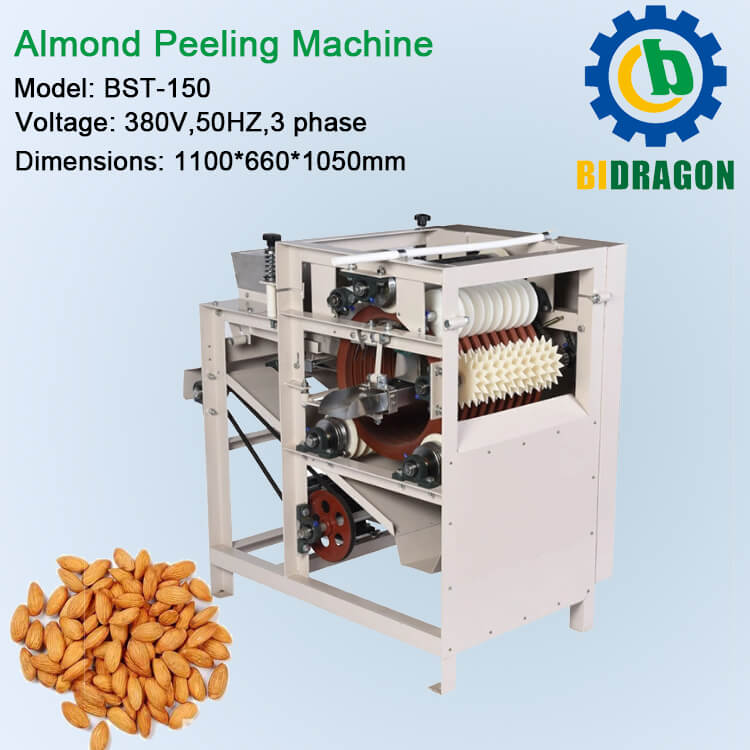 Hazelnut Almond Peeler, Cashew Nut Hazelnut Cacao Cocoa Bean Peanut Soybean Almond Skin Removing Peeler Peeling Machine