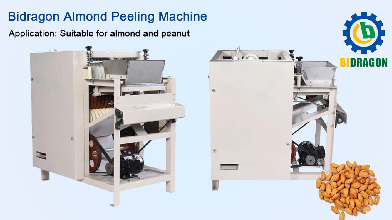 Hazelnut Almond Peeler, Cashew Nut Hazelnut Cacao Cocoa Bean Peanut Soybean Almond Skin Removing Peeler Peeling Machine